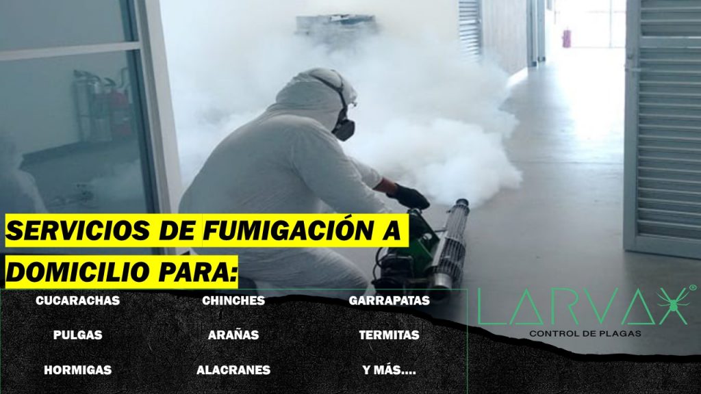 Servicios de fumigación larvax 